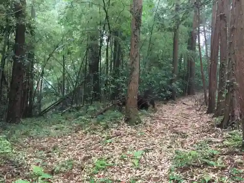 胎安神社の自然