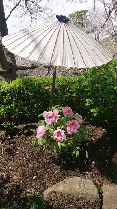 鶴岡八幡宮の{uncategorized: "未分類", other: "その他", undefined: "問題あり", building: "その他建物", grave: "お墓", sacred_gate: "鳥居", guardian: "狛犬", statue: "像", buddha: "仏像", history: "歴史", nature: "自然", garden: "庭園", animal: "動物", pagoda: "塔", temizu: "手水舎", mountain_gate: "山門・神門", sanctuary: "本殿・本堂", subordinate: "末社・摂社", art: "芸術", scenery: "景色", jizo: "地蔵", ema: "絵馬", goshuin: "御朱印", omikuji: "おみくじ", items: "授与品その他", amulet: "お守り", goshuincho: "御朱印帳", eats: "食事", festival: "お祭り", votive_dance: "神楽", shichigosan: "七五三参", wedding: "結婚式", experience: "体験その他", initially: "初詣", around: "周辺", anti_infection: "感染症対策"}