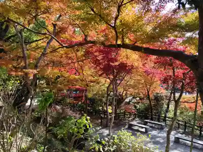 根来寺(和歌山県)
