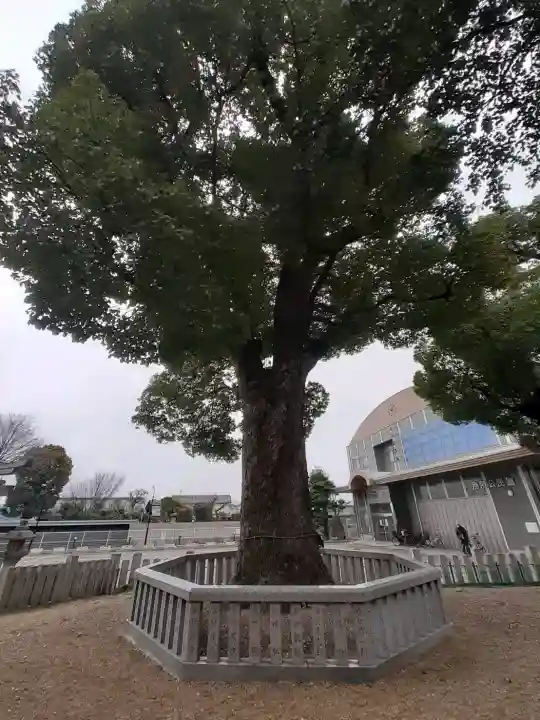 熱田神社の{uncategorized: "未分類", other: "その他", undefined: "問題あり", building: "その他建物", grave: "お墓", sacred_gate: "鳥居", guardian: "狛犬", statue: "像", buddha: "仏像", history: "歴史", nature: "自然", garden: "庭園", animal: "動物", pagoda: "塔", temizu: "手水舎", mountain_gate: "山門・神門", sanctuary: "本殿・本堂", subordinate: "末社・摂社", art: "芸術", scenery: "景色", jizo: "地蔵", ema: "絵馬", goshuin: "御朱印", omikuji: "おみくじ", items: "授与品その他", amulet: "お守り", goshuincho: "御朱印帳", eats: "食事", festival: "お祭り", votive_dance: "神楽", shichigosan: "七五三参", wedding: "結婚式", experience: "体験その他", initially: "初詣", around: "周辺", anti_infection: "感染症対策"}
