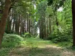 瀧口神社の建物その他