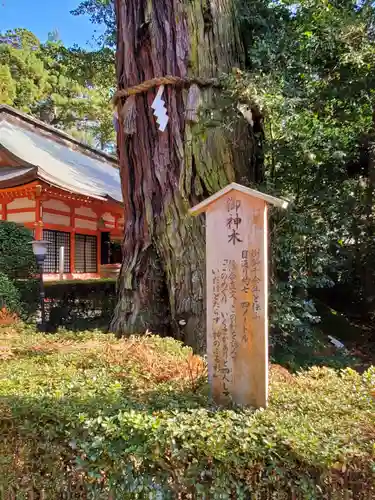 香取神宮の自然