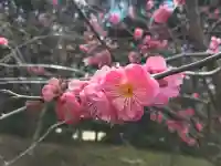 北野天満宮(京都府)