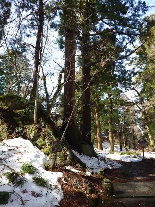 大神山神社奥宮(鳥取県)