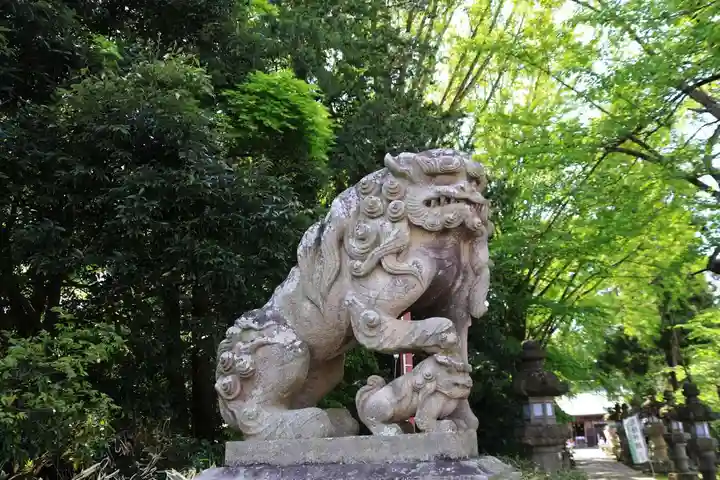 神炊館神社 ⁂奥州須賀川総鎮守⁂の狛犬