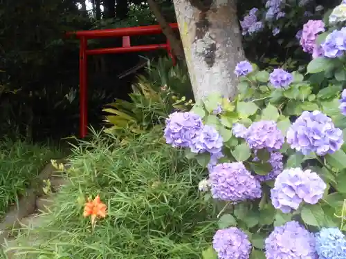 須磨稲荷大明神・和佐稲荷大明神の自然