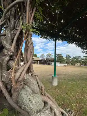 阿閇神社(兵庫県)