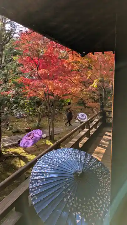 勝林寺(京都府)