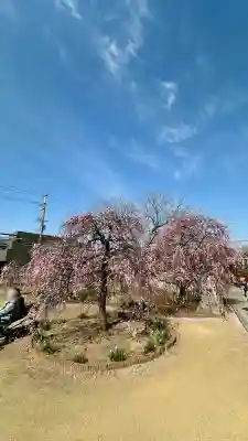 屯倉神社の{uncategorized: "未分類", other: "その他", undefined: "問題あり", building: "その他建物", grave: "お墓", sacred_gate: "鳥居", guardian: "狛犬", statue: "像", buddha: "仏像", history: "歴史", nature: "自然", garden: "庭園", animal: "動物", pagoda: "塔", temizu: "手水舎", mountain_gate: "山門・神門", sanctuary: "本殿・本堂", subordinate: "末社・摂社", art: "芸術", scenery: "景色", jizo: "地蔵", ema: "絵馬", goshuin: "御朱印", omikuji: "おみくじ", items: "授与品その他", amulet: "お守り", goshuincho: "御朱印帳", eats: "食事", festival: "お祭り", votive_dance: "神楽", shichigosan: "七五三参", wedding: "結婚式", experience: "体験その他", initially: "初詣", around: "周辺", anti_infection: "感染症対策"}