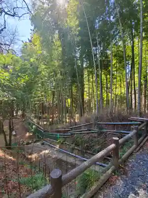 大中寺のその他建物