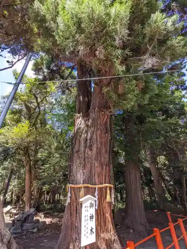息栖神社(茨城県)