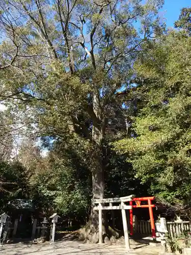 小津神社(滋賀県)