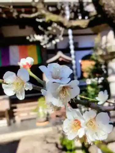 常性寺(東京都)
