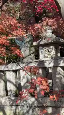 光明寺（粟生光明寺）(京都府)