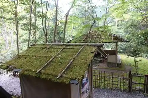 高山寺の庭園