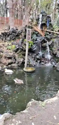 平塚八幡宮の庭園