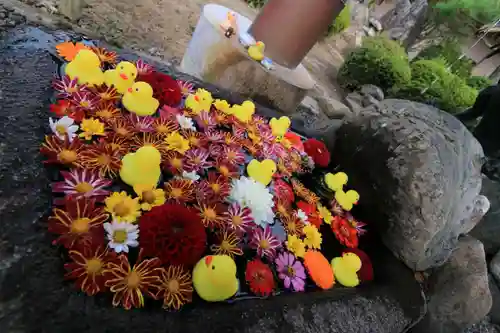 大鏑神社の手水