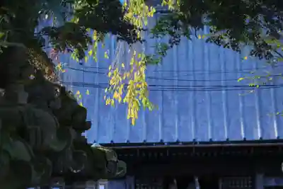 神炊館神社 ⁂奥州須賀川総鎮守⁂のその他建物