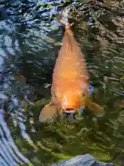 秩父神社(埼玉県)