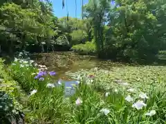 勧修寺の庭園