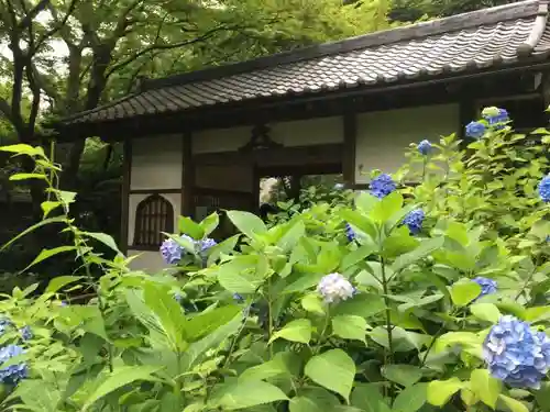 明月院の建物その他