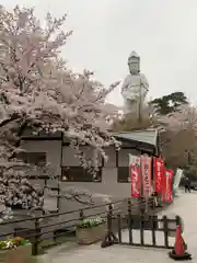 観音山慈眼院（高崎観音）の仏像