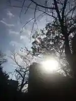 愛宕神社の自然