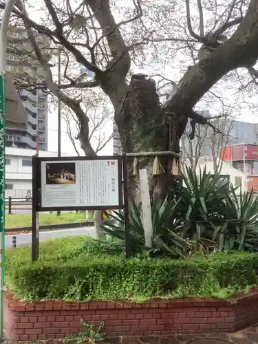 橿森神社(岐阜県)