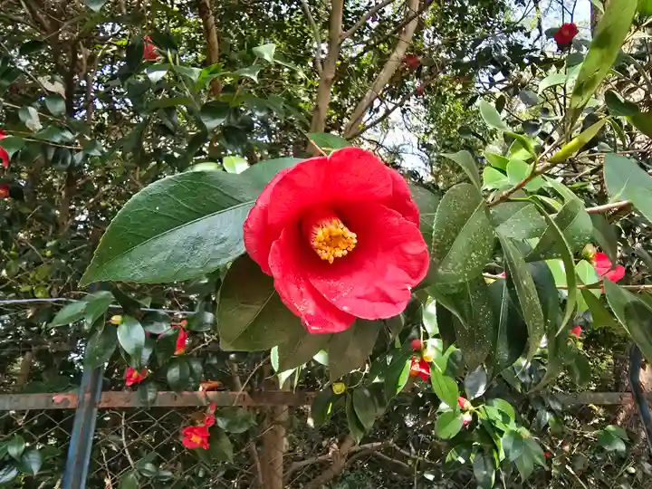 西宮神社(兵庫県)