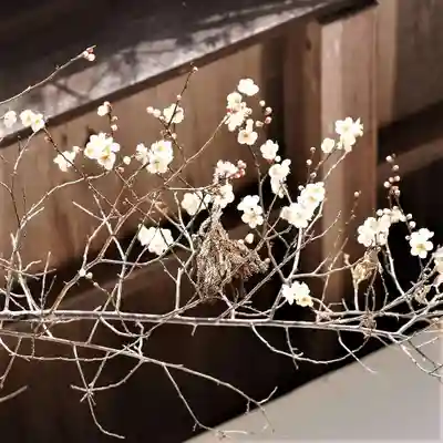 岡部春日神社～👹鬼門よけの🌺花咲く🌺やしろ～(福島県)