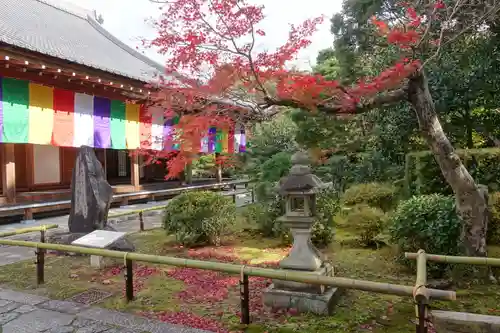  智積院の庭園