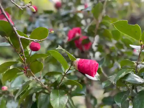 伊勢の国 四天王寺の自然