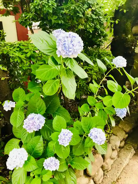 摂津之国 國分寺(金光明四天王護国之寺)の自然