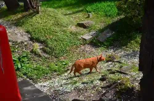 仙台東照宮の動物