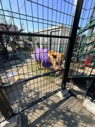 五方山熊野神社の{uncategorized: "未分類", other: "その他", undefined: "問題あり", building: "その他建物", grave: "お墓", sacred_gate: "鳥居", guardian: "狛犬", statue: "像", buddha: "仏像", history: "歴史", nature: "自然", garden: "庭園", animal: "動物", pagoda: "塔", temizu: "手水舎", mountain_gate: "山門・神門", sanctuary: "本殿・本堂", subordinate: "末社・摂社", art: "芸術", scenery: "景色", jizo: "地蔵", ema: "絵馬", goshuin: "御朱印", omikuji: "おみくじ", items: "授与品その他", amulet: "お守り", goshuincho: "御朱印帳", eats: "食事", festival: "お祭り", votive_dance: "神楽", shichigosan: "七五三参", wedding: "結婚式", experience: "体験その他", initially: "初詣", around: "周辺", anti_infection: "感染症対策"}