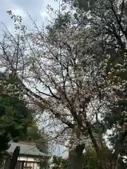 簳幹八幡宮(東京都)