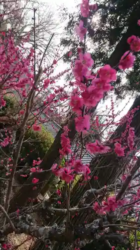 吉備津神社の自然