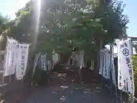 龍口明神社の自然
