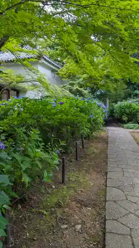 真正極楽寺（真如堂）(京都府)