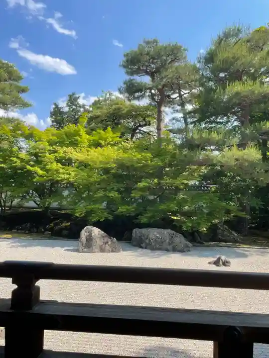 相国寺(相国承天禅寺)の庭園