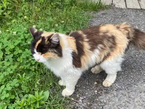 聖神社(埼玉県)
