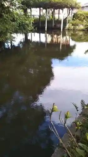 玉敷神社の庭園