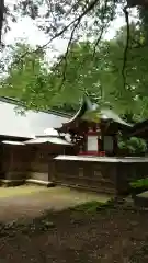 河口浅間神社の本殿