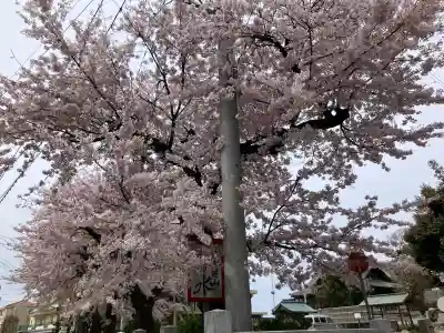 羽咋神社の{uncategorized: "未分類", other: "その他", undefined: "問題あり", building: "その他建物", grave: "お墓", sacred_gate: "鳥居", guardian: "狛犬", statue: "像", buddha: "仏像", history: "歴史", nature: "自然", garden: "庭園", animal: "動物", pagoda: "塔", temizu: "手水舎", mountain_gate: "山門・神門", sanctuary: "本殿・本堂", subordinate: "末社・摂社", art: "芸術", scenery: "景色", jizo: "地蔵", ema: "絵馬", goshuin: "御朱印", omikuji: "おみくじ", items: "授与品その他", amulet: "お守り", goshuincho: "御朱印帳", eats: "食事", festival: "お祭り", votive_dance: "神楽", shichigosan: "七五三参", wedding: "結婚式", experience: "体験その他", initially: "初詣", around: "周辺", anti_infection: "感染症対策"}
