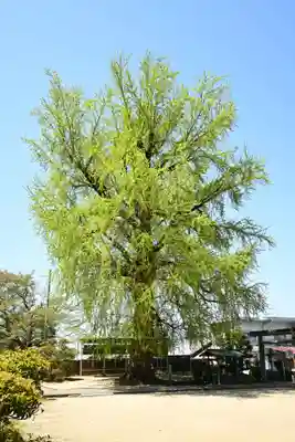 丹生酒殿神社(和歌山県)