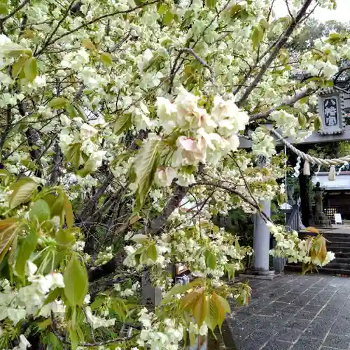 上地八幡宮(愛知県)