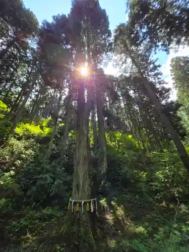 賀毗禮神宮(茨城県)