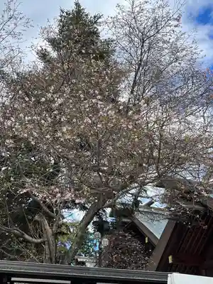 櫻木神社(千葉県)