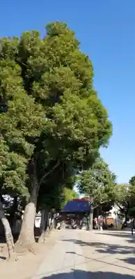 天祖神社のその他建物