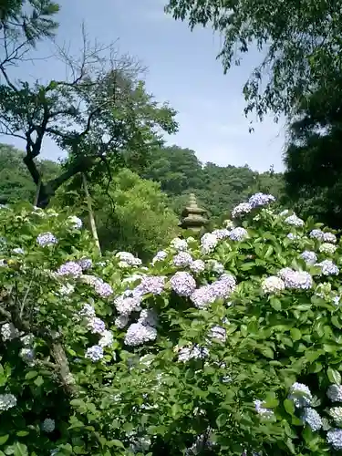 光則寺の庭園